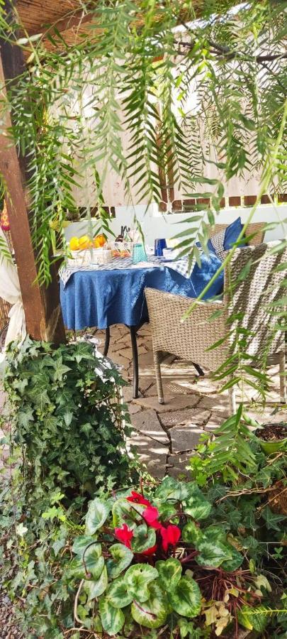 Bed and Breakfast La Pirata Capitana Costa degli Angeli Exterior foto