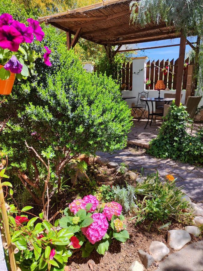 Bed and Breakfast La Pirata Capitana Costa degli Angeli Exterior foto